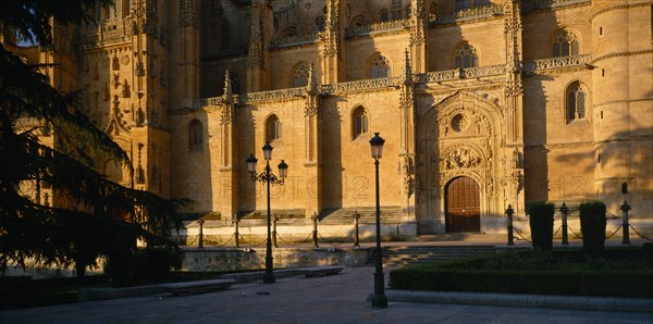 SPAIN, Castilla Y Leon , Salamanca , "The Cathedral, part view of exterior in golden sunlight, tree branches and decorative lamp posts in shadow in the foreground."