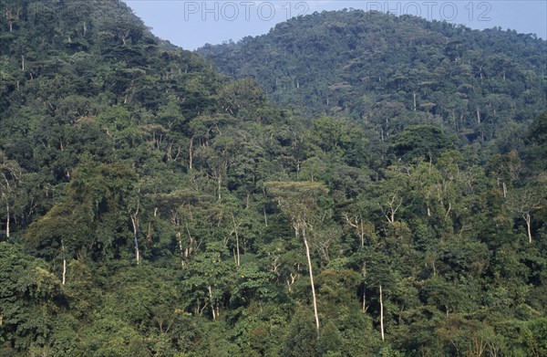 UGANDA, Bwindi National Park, View over dense forest area.