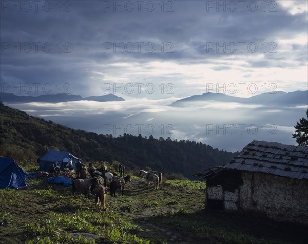 BHUTAN, Phajoding, "Trekkers breaking camp, pack ponies outside blue tents on hillside with view towards distant mountains partly obscured by cloud."