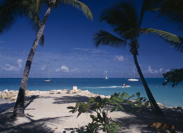 WEST INDIES, Antigua, Dickenson Bay, "Sandy beach and rocks with sunbather on lounger.  Aquamarine water, yachts and jetski framed by palms with dog passing by in the foreground. "