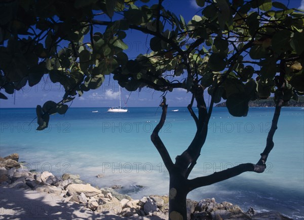 WEST INDIES, Antigua, Dickenson Bay, "View across clear, aquamarine water towards distant yachts divided and partly framed by tree in shadow in the foreground. "
