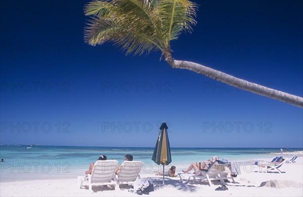 WEST INDIES, Antigua, Long Bay, Sandy beach overlooking bay with sunbathers on white sun loungers and single palm tree leaning out overhead.