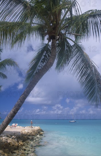 WEST INDIES, Antigua, Dickenson Bay, Narrow spit of land fortified by rocks with people sunbathing and fishing from it.  Palm tree leaning out over the water in the foreground