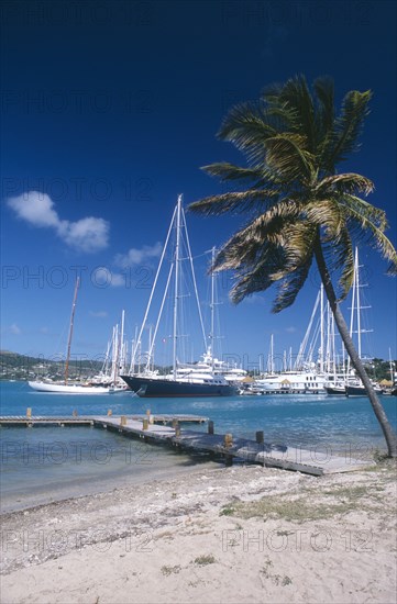 WEST INDIES, Antigua, Falmouth Harbour, Wooden jetty under leaning palm tree extended into harbour with moored yachts and other boats.