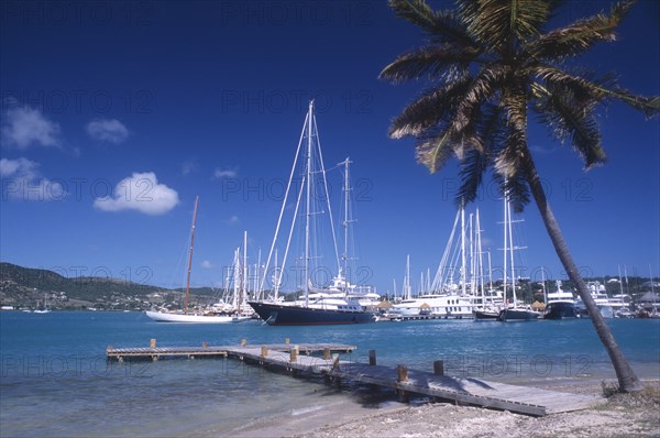 WEST INDIES, Antigua, Falmouth Harbour, Wooden jetty under leaning palm tree extended into harbour with moored yachts and other boats.