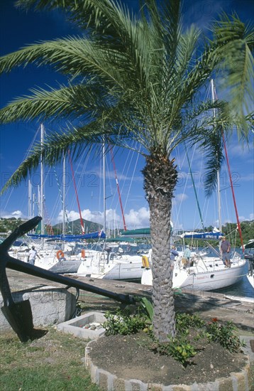 WEST INDIES, Antigua, English Harbour, Nelsons Dockyard.  yachts moored against quay with palm tree and anchor displayed in the foreground.