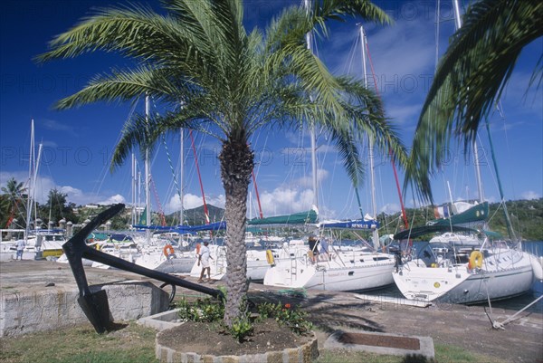 WEST INDIES, Antigua, English Harbour, Nelsons Dockyard.  yachts moored against quay with palm tree and anchor displayed in the foreground.