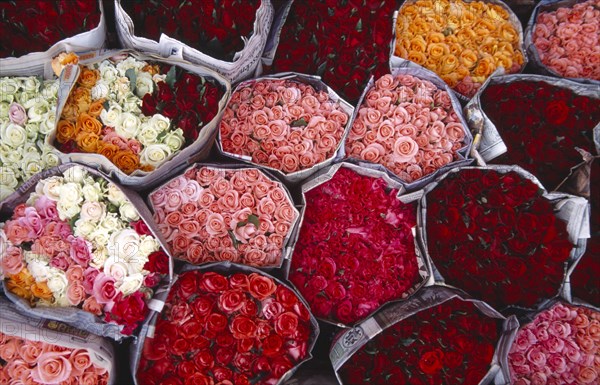 THAILAND, North, Chiang Mai, "Praisani Road flower market.  Close view of tightly packed bunches of pink, red and white roses wrapped in newspaper."