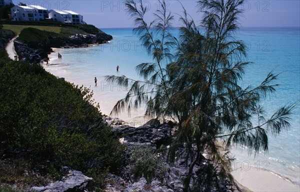 BERMUDA, Whale Bone Bay, View over bay encircled by sandy beach with a few people in the sea.  White painted apartments on the cliff top behind and tree in foreground.