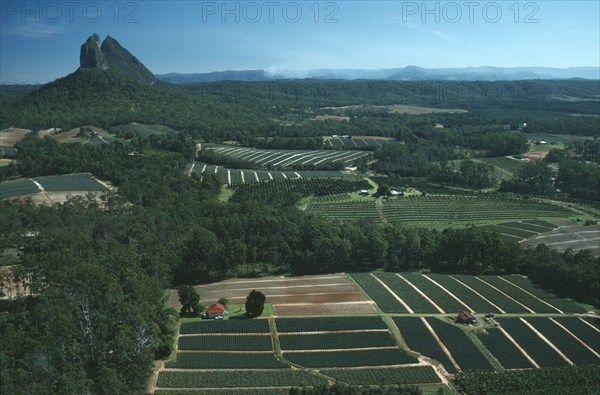 AUSTRALIA, Queensland, Glasshouse Mountains, Landscape with cultivated fields interspersed by dense forest.