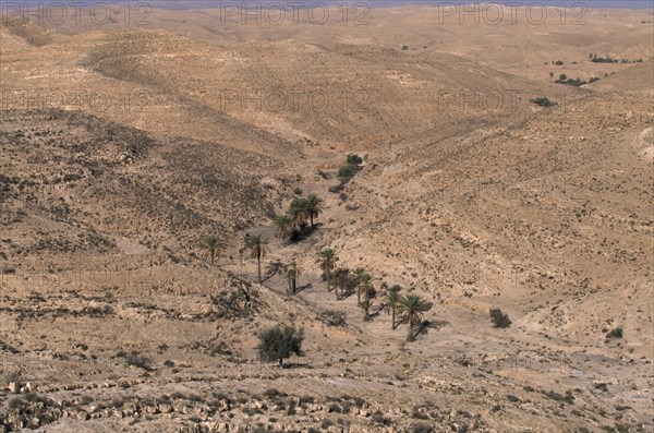 TUNISIA, Near Tataouine, Very dry landscape with dried up river indicated by palm trees.