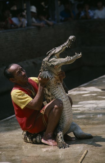 THAILAND, Bangkok, Man wrestling crocodile with crowds watching from behind barrier.