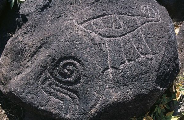 NICARAGUA, Lake Nicaragua, Ometepe Island, Close up detail of petroglyphs carved in to large bolder.