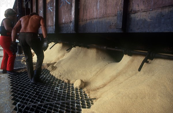 CUBA, Cienfuegos, Sugar being poured from railway carriages through gratings in the ground with workers standing by