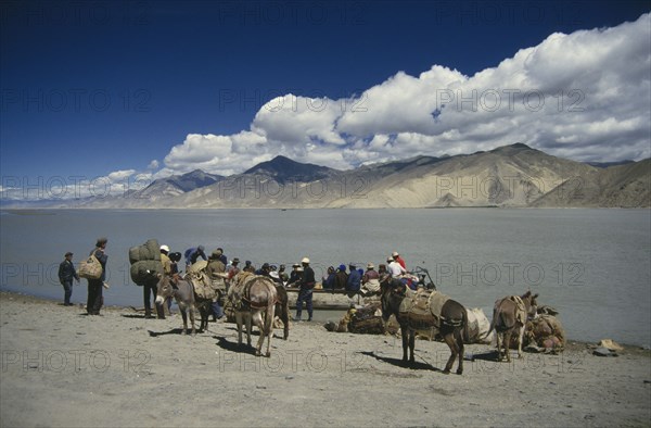 CHINA, Tibet, Transport, People with laden donkeys boarding a ferry to cross the Tsangpo river