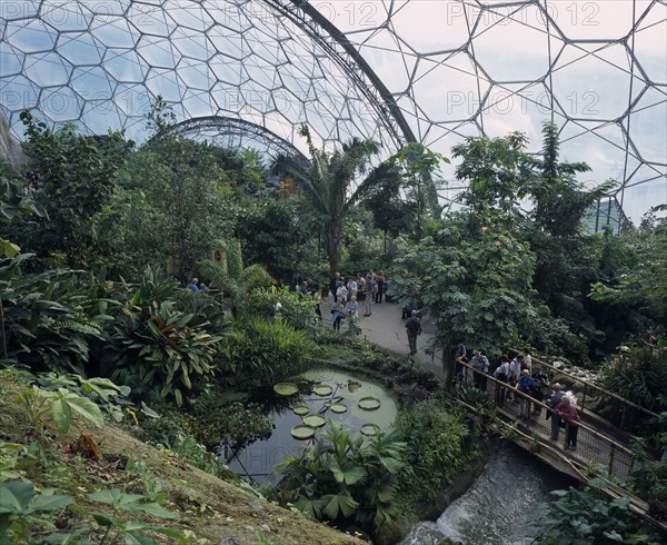 ENGLAND, Cornwall, St Austell, Eden Project. Tropical dome interior with visitors on bridge by lily pad pond