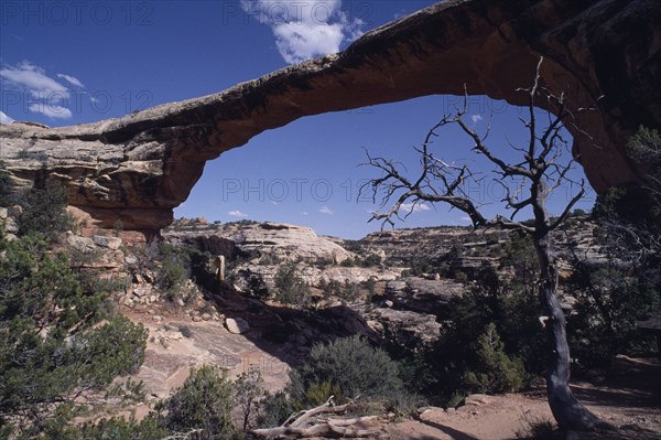 USA, Utah, San Juan, Natural Bridges National Monument. View of Owachomo Bridge spanning 180ft over Armstrong Canyon