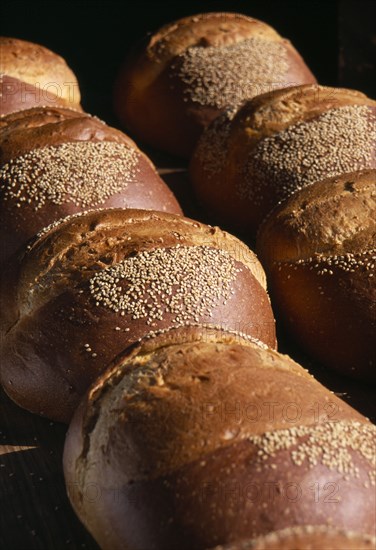 MEXICO, Oaxaca, Oaxaca City, Close view of loaves of bread with sesame seeds scattered over crust.