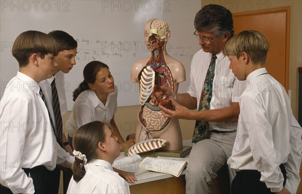 EDUCATION, Secondary School, Science, Male and female pupils being shown a model of the human body by male teacher during a biology lesson.