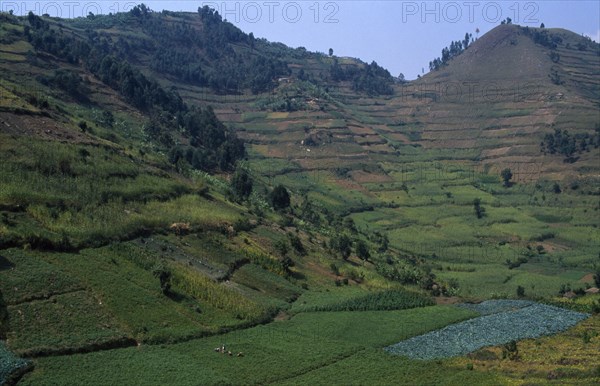 UGANDA, Kisoro, Farmland field patterns