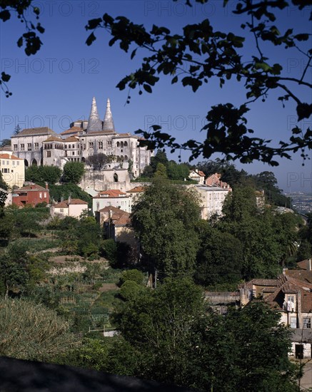 PORTUGAL, Estremadura, Sintra, Royal Palace on hilltop framed by tree branch with twin chimneys surrounded by houses