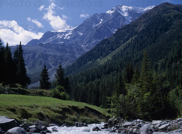 ITALY, Trentino, Suldental, "Landscape with Mount Ortler (3905 m) in background, densely wooded valley sides and rocky, fast flowing stream in foreground."