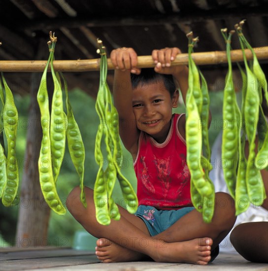 THAILAND, South, Phuket, Seated smiling small boy in red T-shirt holding a pole with hanging green beans or seedpods