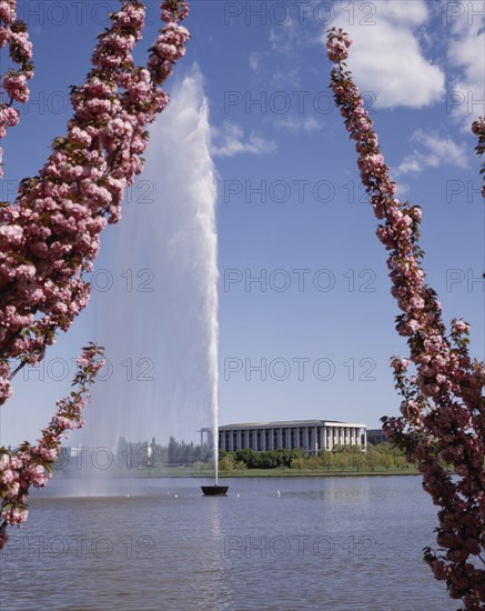 AUSTRALIA, New South Wales, Canberra, Lake Burley Griffin with the Captain Cook Memorial Water Jet seen between pink cherry blossom