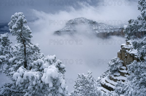 USA, Arizona, Grand Canyon, North Rim with snow in canyon