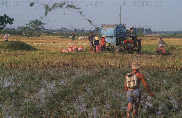 VIETNAM, Cao Lanh , Threshing rice with threshing machine.  Fish skinner in the foreground.