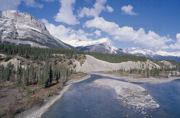 CANADA, Alberta, Banff National Park, Saskatchewan river with pine trees on shore and mountain backdrop