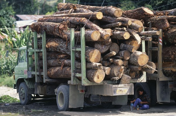 INDONESIA, Sumatra, Industry, Timber trucks at the ferry port of Tomok on Samosir Island in Lake Toba