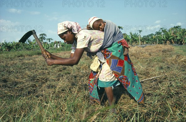 MOZAMBIQUE, Farming, Young woman carrying her baby strapped to her back whilst tilling land by hand.