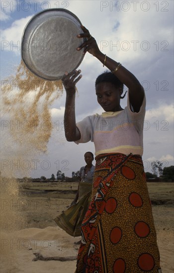 TANZANIA, Shinyanga, Gertrude winnowing rice waste she collects from mill.  Whole grains that slip through are sold and the broken grains eaten.