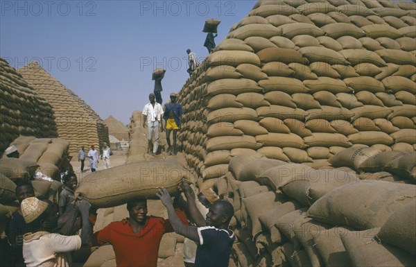 NIGERIA, Kano, Workers building pyramids from sacks of groundnuts.