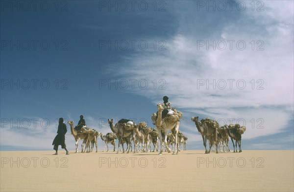 NIGER, Transport, Camel train transporting salt from Bilma to Agadez