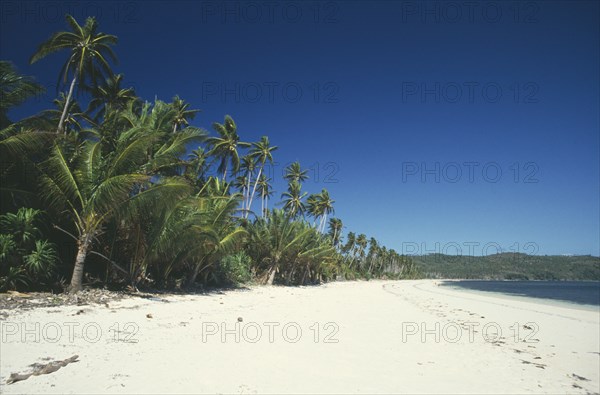 PHILIPPINES, Visayan Islands, Boracay, Empty sandy beach fringed with palm trees on undeveloped east coast