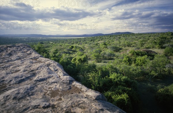 TANZANIA, Serengeti, View over classic Acacia Thorn country from a Kopje a smooth sandstone outcrop typical of this region