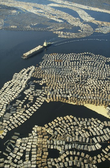 FINLAND, Lake Saimaa, Large expanse of cut timber from logging industry floating on lake surface.