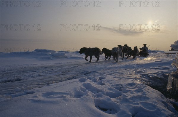 RUSSIA, Siberia, Tchukotka, Nalrus and seal Innuit eskimo hunt.  Husky drawn sleigh in part silhouette against skyline of snow covered landscape.