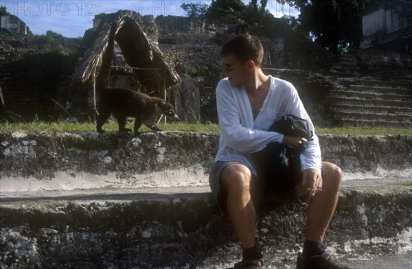 GUATEMALA, Tikal, Tourist smoking a cigarette with Coati walking along the wall behind in the main Plaza
