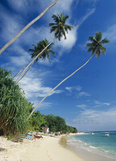 SRI LANKA, Unawatuna, Narrow strip of sandy beach lined with vegetation and overhanging palm trees moored boats and partly seen buildings.