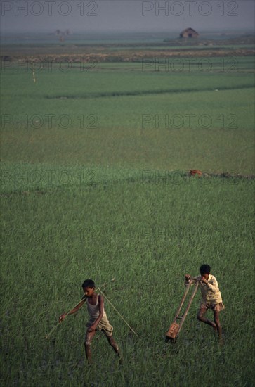 BANGLADESH, Chittagong, Brahmanbaria, Two boys pulling weeding machine through paddy field.