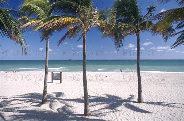 USA, Florida, Fort Lauderdale, View through palms on golden sandy beach with small beach notice