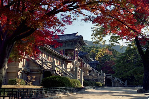 SOUTH KOREA, North Kyongsan, Pulguksa Temple originally dating from 528AD framed by overhanging autumnal trees