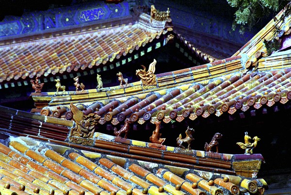 CHINA, Shandong, Qufu, View along line of traditional style rooves with decorative features in the ancient grounds where Confucius practiced