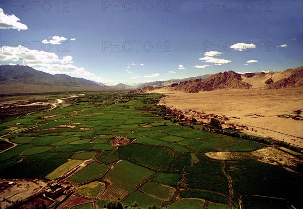 INDIA, Ladakh, Tikse, View over Indus river valley from Tikse Gompa