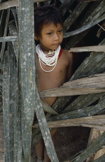 ECUADOR, People, Children, Young Waorani girl outside hut.