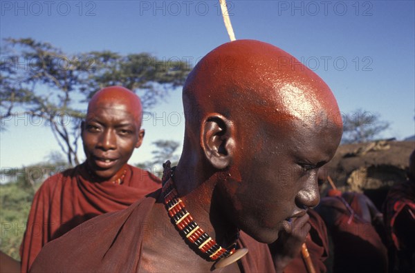 KENYA, Kajiado, Maasai moran with their recently shaved heads covered with ochre which signifies their coming into manhood during an initiation ceremony of their age sets