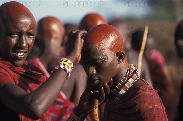 KENYA, Kajiado, Maasai Moran cover their recently shaved heads with red ochre which signifies their coming into manhood during an initiation ceremony of their age sets
